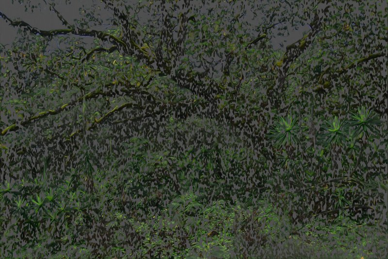 Alex Fischer, Untitled Greens, 2010 Alex Fischer, Untitled Greens, 2010